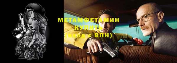 стафф Вязьма