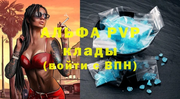 стафф Вязьма