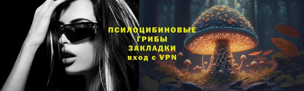 ГАЛЛЮЦИНОГЕННЫЕ ГРИБЫ Вязники