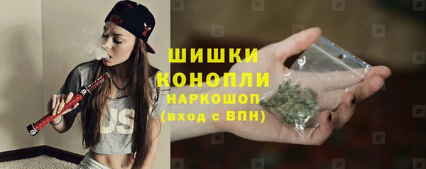 твердый Вяземский