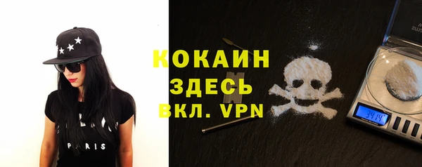 стафф Вязьма