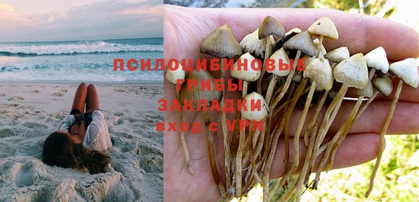 ГАЛЛЮЦИНОГЕННЫЕ ГРИБЫ Вязники