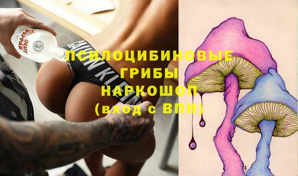 стафф Вязьма