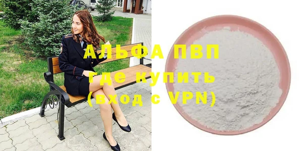 стафф Вязьма