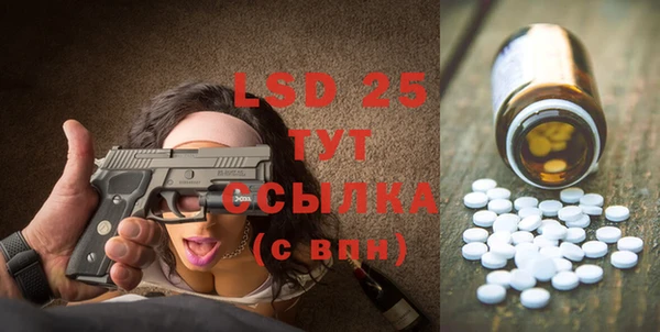твердый Вяземский