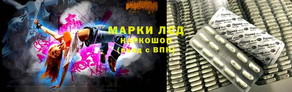 твердый Вяземский