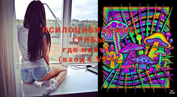 ГАЛЛЮЦИНОГЕННЫЕ ГРИБЫ Вязники