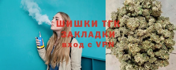 стафф Вязьма