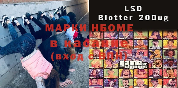 стафф Вязьма