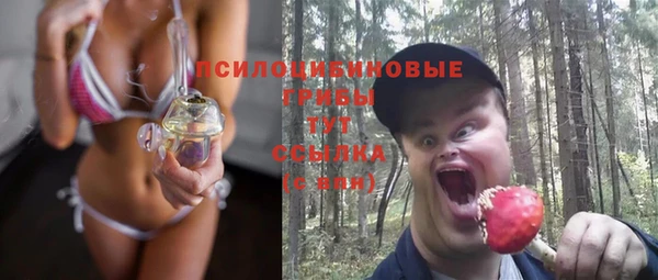 ГАЛЛЮЦИНОГЕННЫЕ ГРИБЫ Вязники