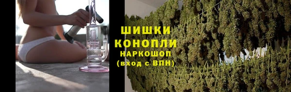 ГАЛЛЮЦИНОГЕННЫЕ ГРИБЫ Вязники