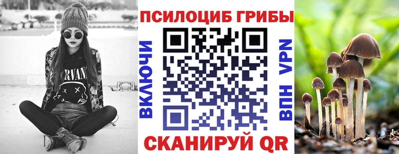 закладка  Вологда  hydra ссылка  Галлюциногенные грибы Cubensis 